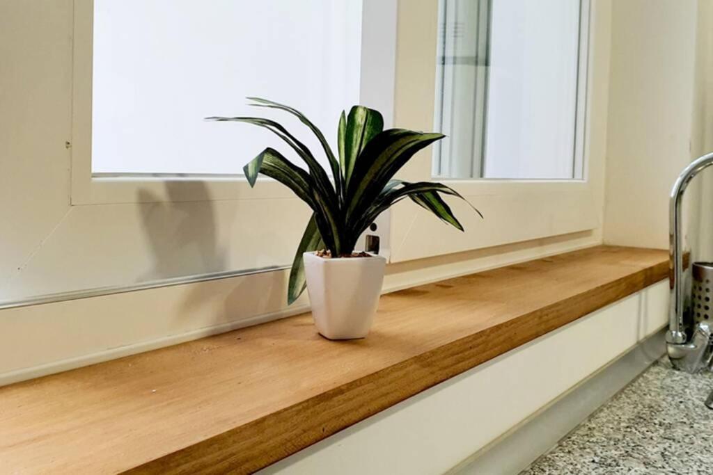 Apartamento Interior En El Absoluto Centro Ba Алхесирас Екстериор снимка